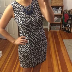 Navy blue hearts J crew dress